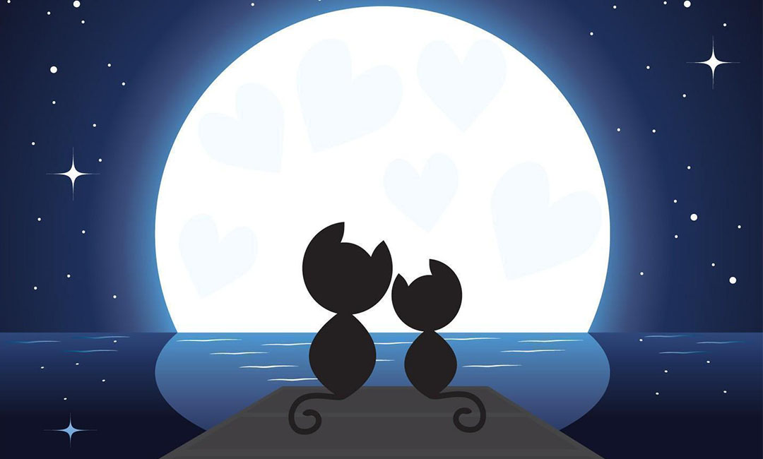 梅州潮客汇微信活动策划案例