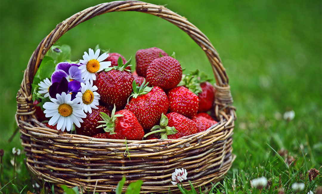 梅州点呀点水果电商APP开发案例